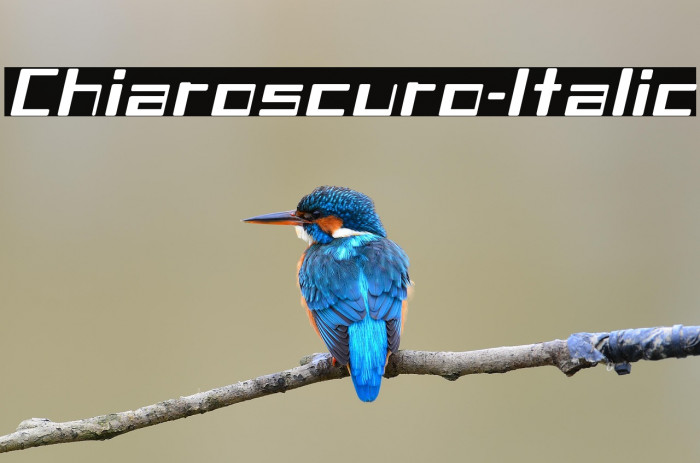 Chiaroscuro-Italic Example 1