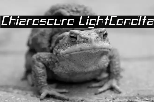 Chiaroscuro-LightCondIta Fuentes examples