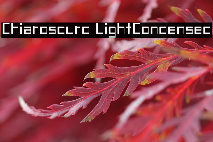Chiaroscuro-LightCondensed Example 3