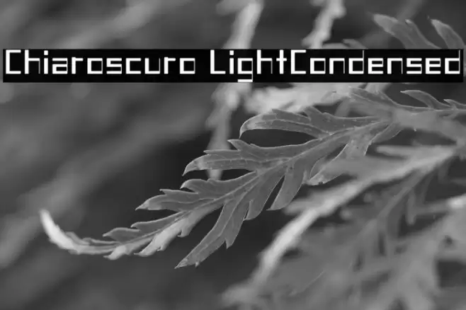 Chiaroscuro-LightCondensed フォント examples