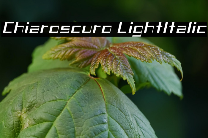 Chiaroscuro-LightItalic Example 3