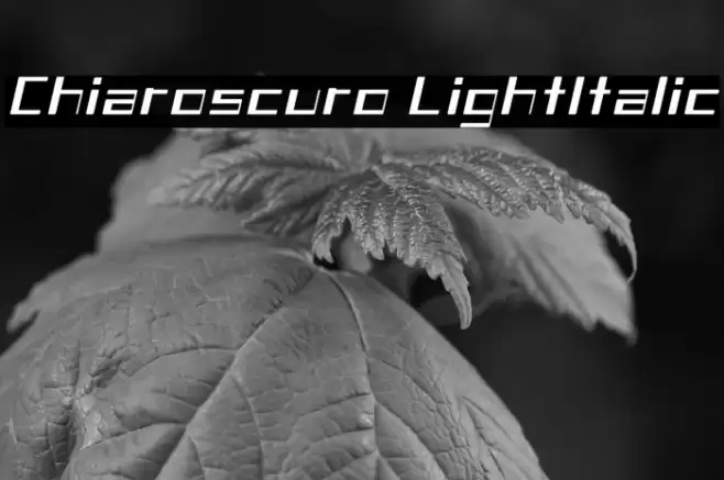 Chiaroscuro-LightItalic Fonte examples