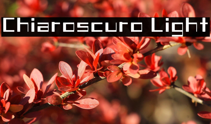 Chiaroscuro-Light Example 2