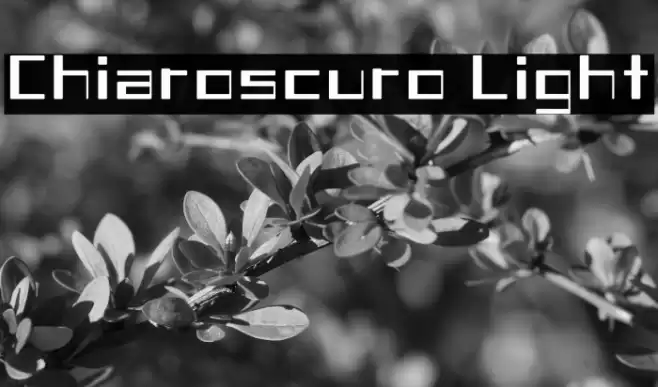 Chiaroscuro-Light Fuentes examples