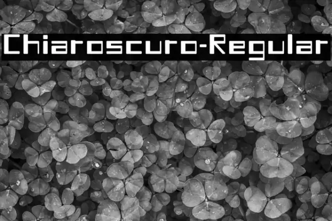 Chiaroscuro-Regular Caratteri examples