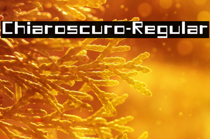Chiaroscuro-Regular Example 2