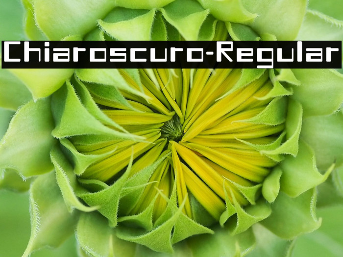 Chiaroscuro-Regular Example 3
