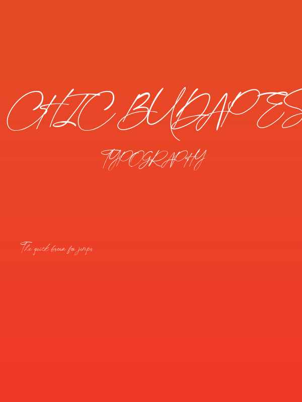 Chic Budapest Poster