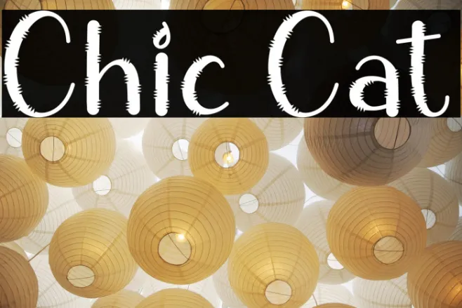 Chic Cat Example 1
