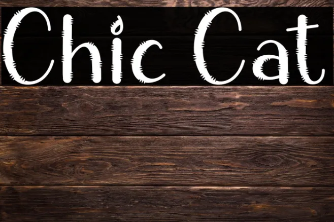 Chic Cat Example 2