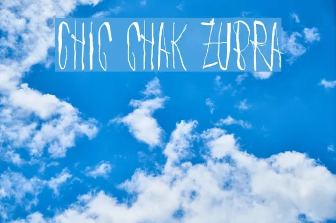 Chic chak zubra Example 2