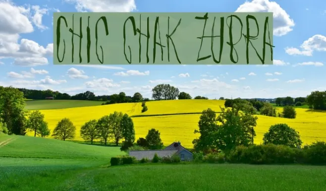 Chic chak zubra Example 3