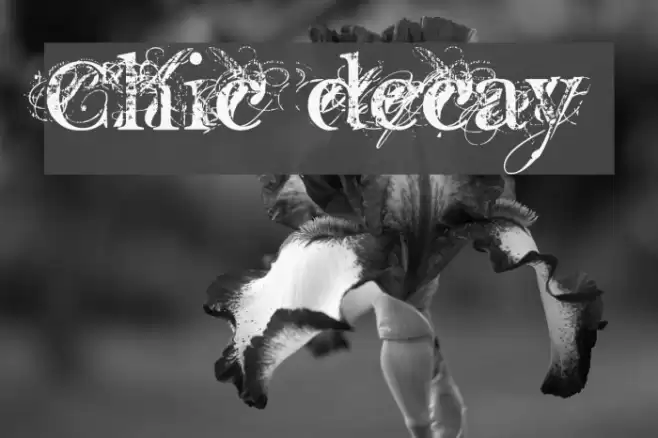 Chic decay Шрифта examples