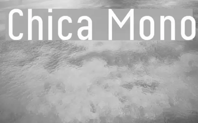 Chica Mono Font examples