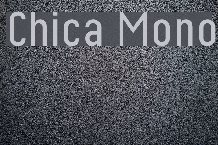 Chica Mono Font examples