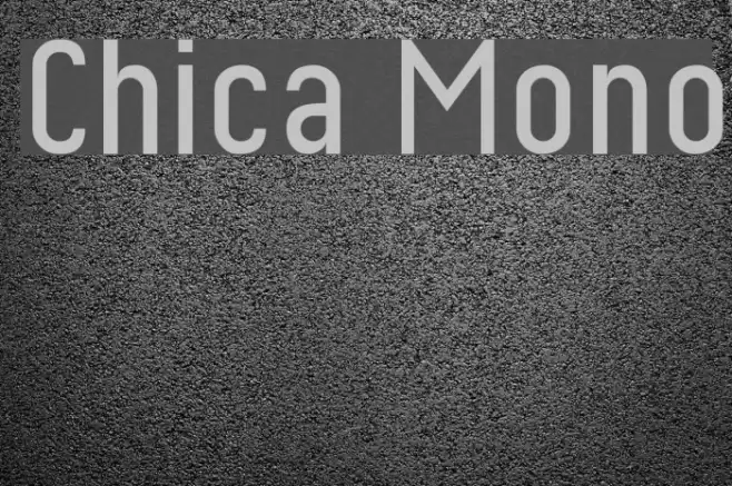 Chica Mono Font examples
