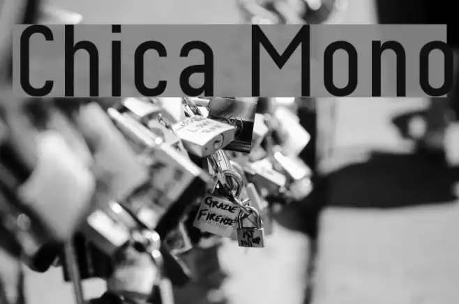 Chica Mono Font examples
