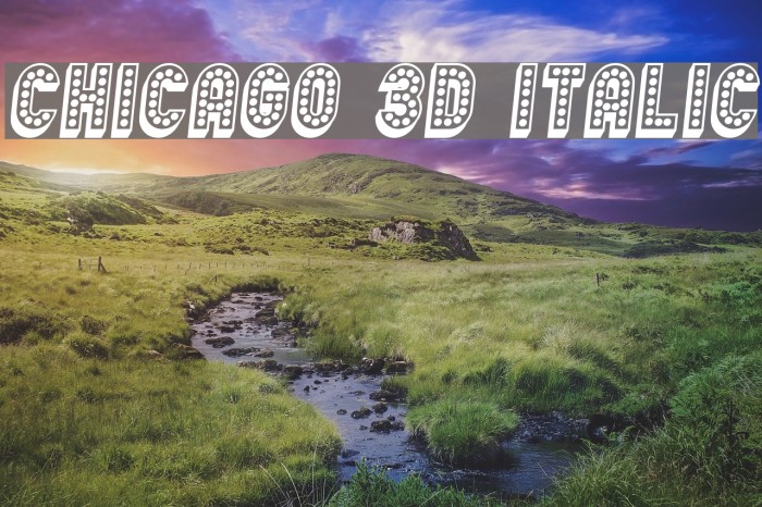 Chicago 3D Italic Font examples