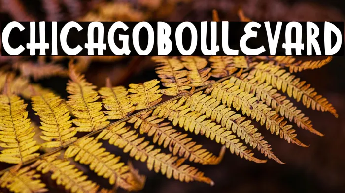 Chicago Boulevard Example 3