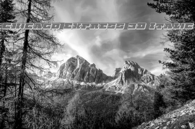 Chicago Express 3D Italic Font examples