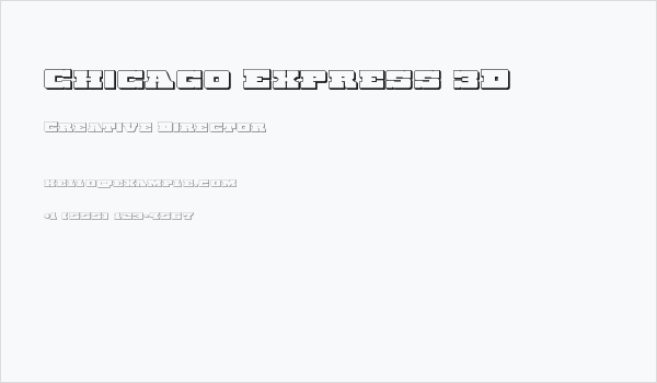 Chicago Express 3D Business Card