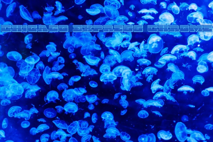 Chicago Express Chrome Example 1