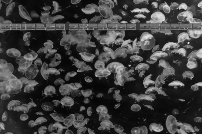 Chicago Express Chrome Font examples