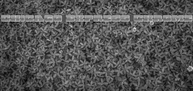 Chicago Express Chrome Font examples