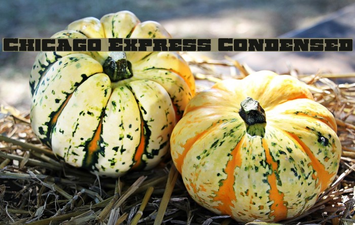 Chicago Express Condensed Example 2