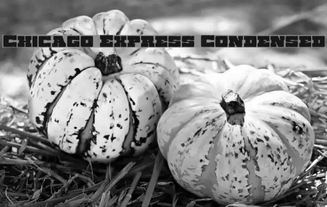 Chicago Express Condensed Font examples