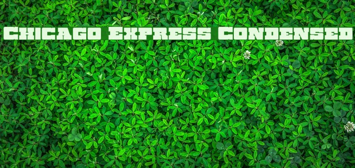 Chicago Express Condensed Example 3