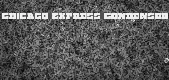 Chicago Express Condensed Font examples