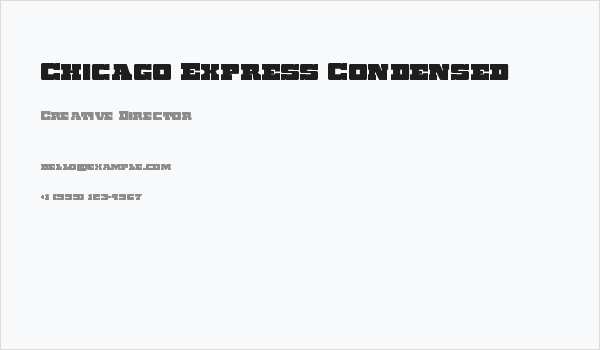 Chicago Express Condensed Business Card