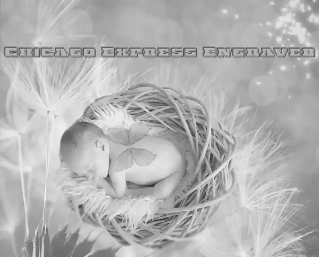 Chicago Express Engraved Font examples