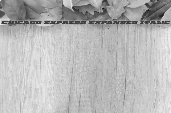 Chicago Express Expanded Italic Fonte examples