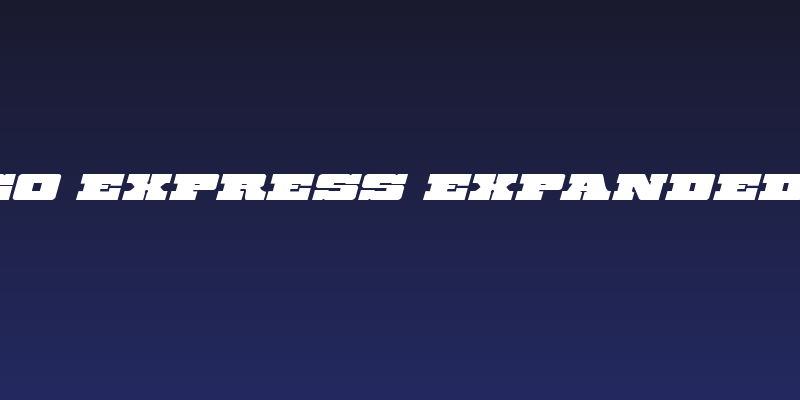 Chicago Express Expanded Italic Social Header