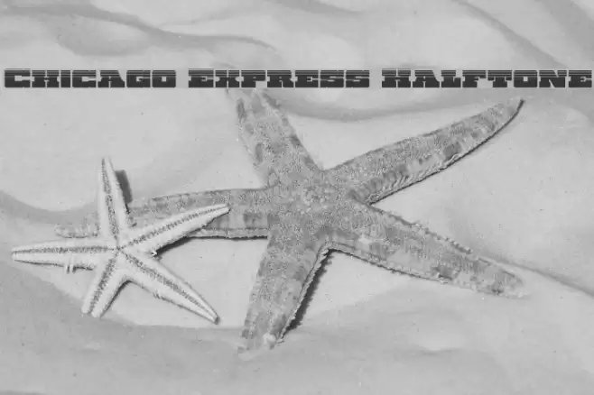 Chicago Express Halftone Fonte examples