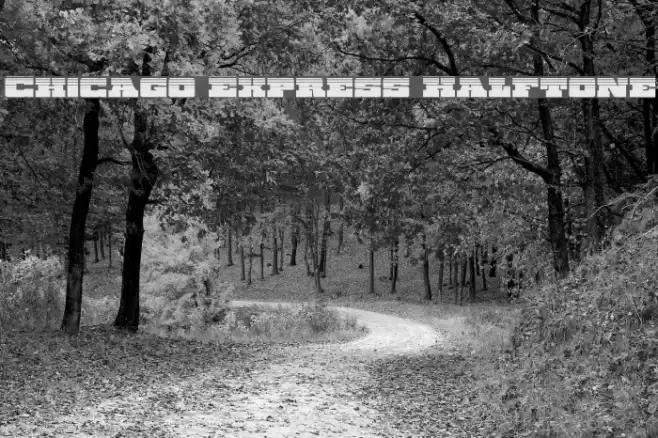 Chicago Express Halftone Fonte examples