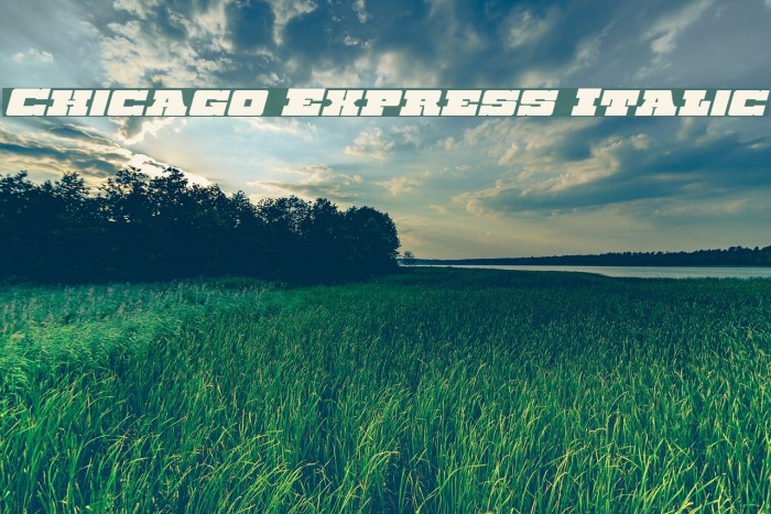 Chicago Express Italic Example 1