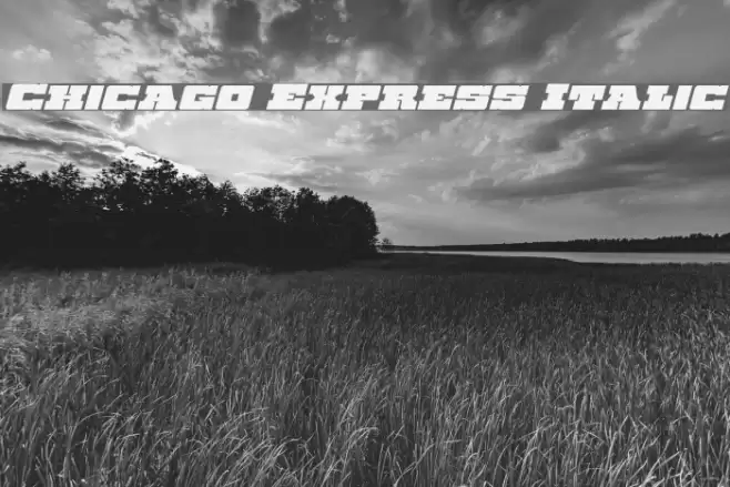 Chicago Express Italic Font examples