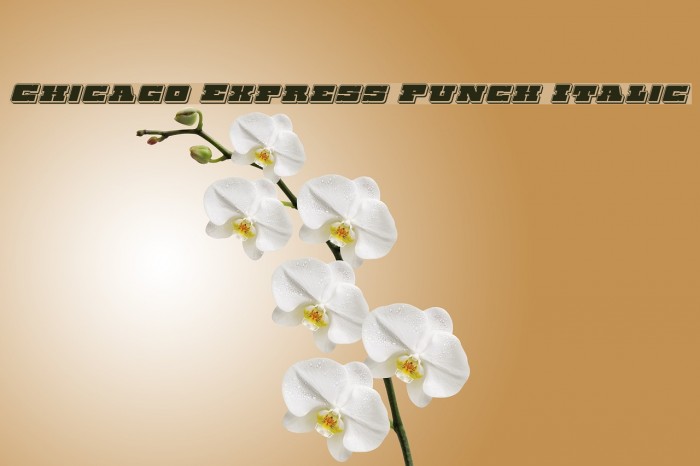 Chicago Express Punch Italic Font examples