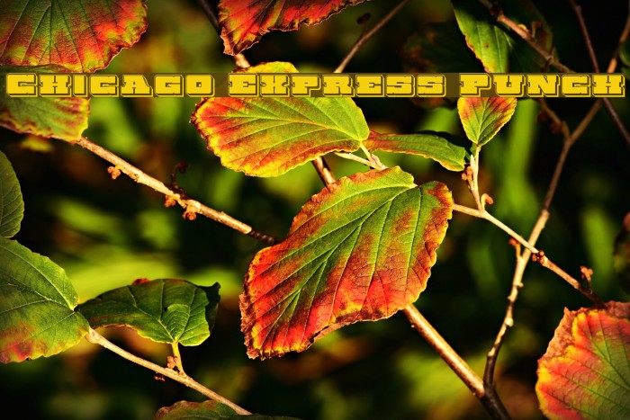 Chicago Express Punch Example 3