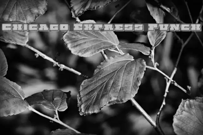 Chicago Express Punch Font examples