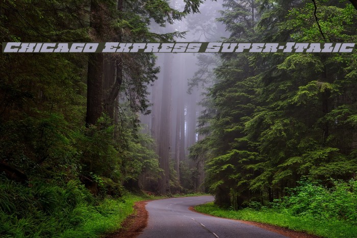 Chicago Express Super-Italic Example 1