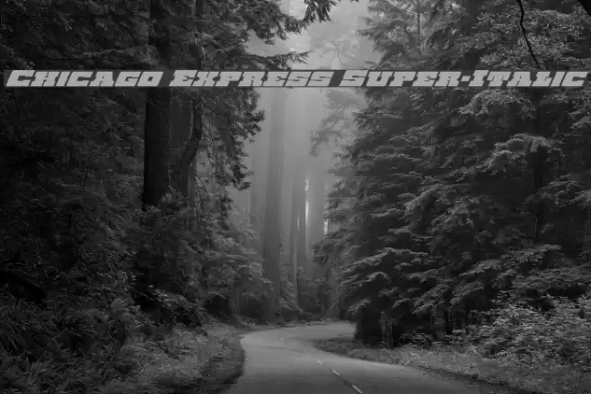 Chicago Express Super-Italic Font examples