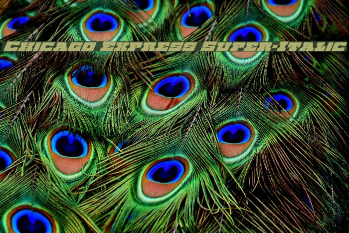 Chicago Express Super-Italic Example 3