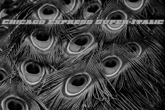 Chicago Express Super-Italic Font examples