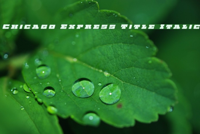 Chicago Express Title Italic Fonte examples