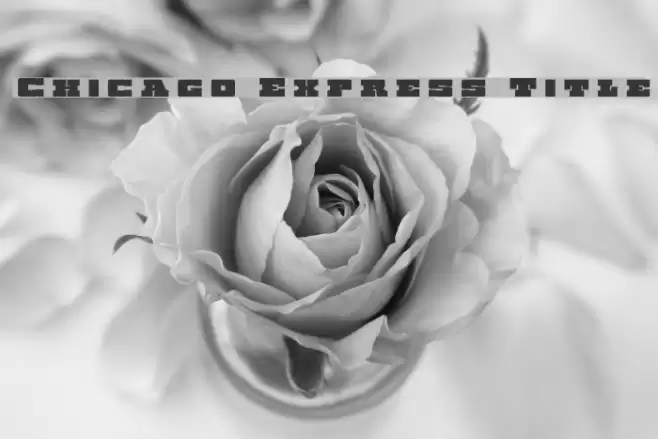 Chicago Express Title Font examples