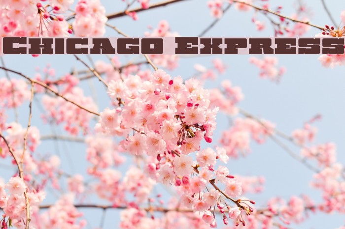 Chicago Express Example 2